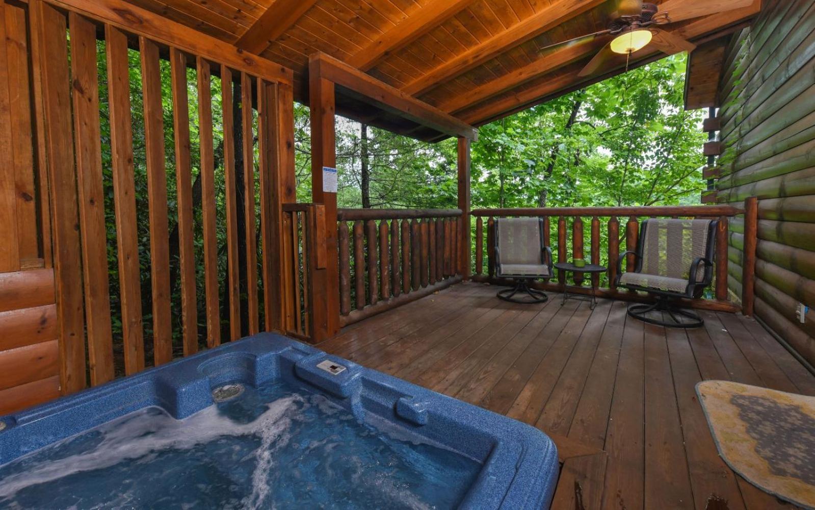 Bear Elegance Villa *