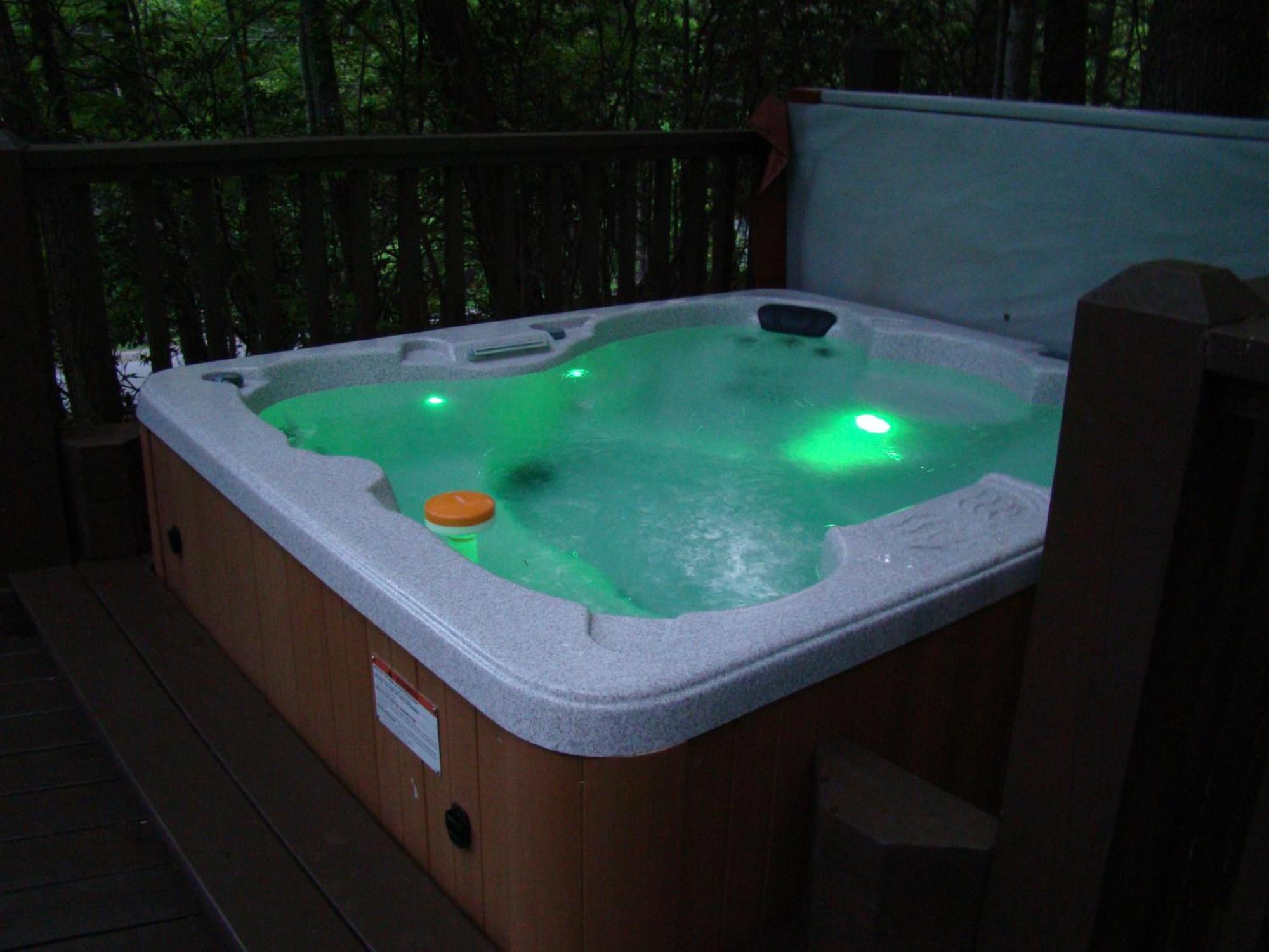 Chalet Honey Bear - Unique Boutique In With Mt Leconte View *