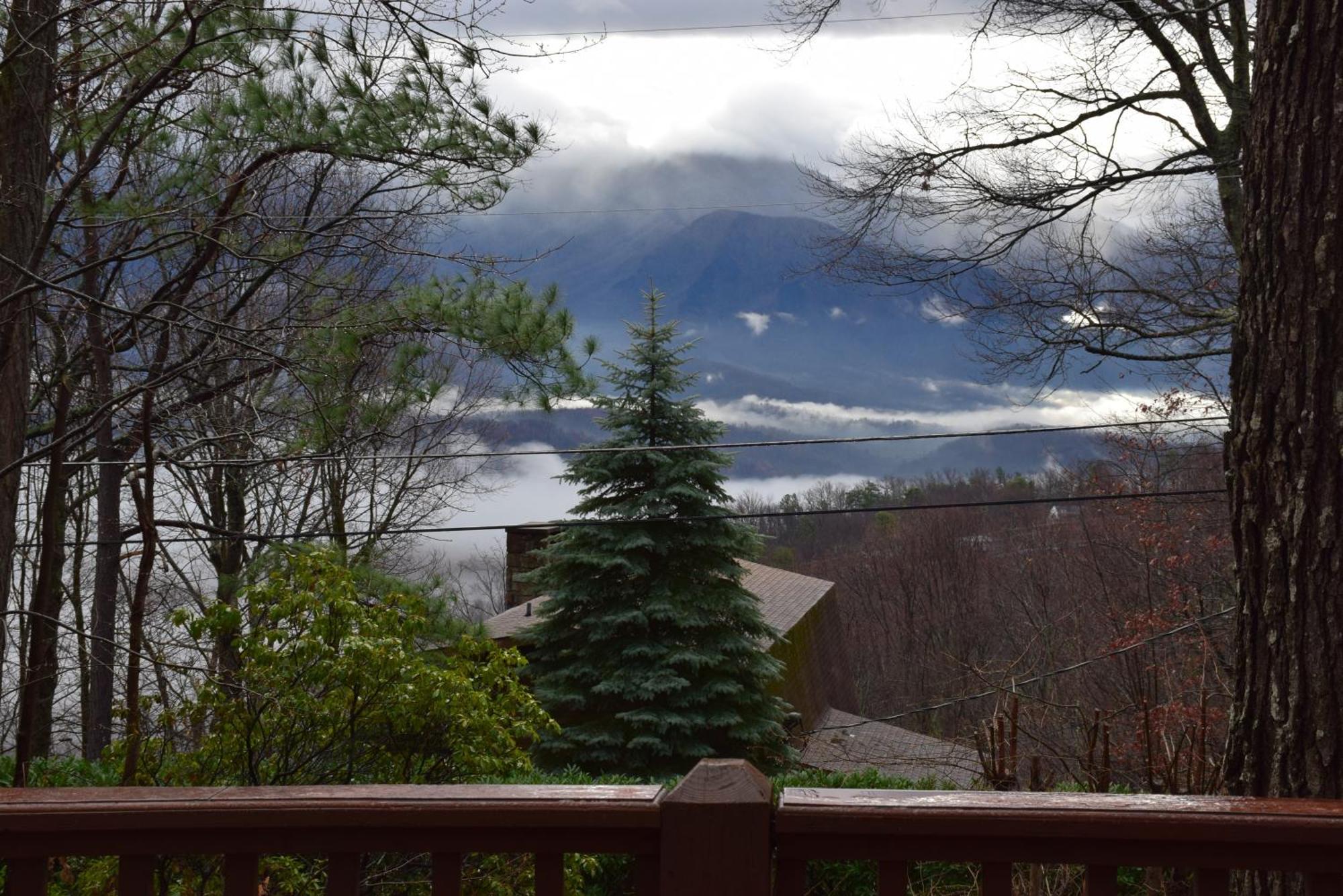 Honey Bear - Unique Boutique In With Mt Leconte View * Gatlinburg