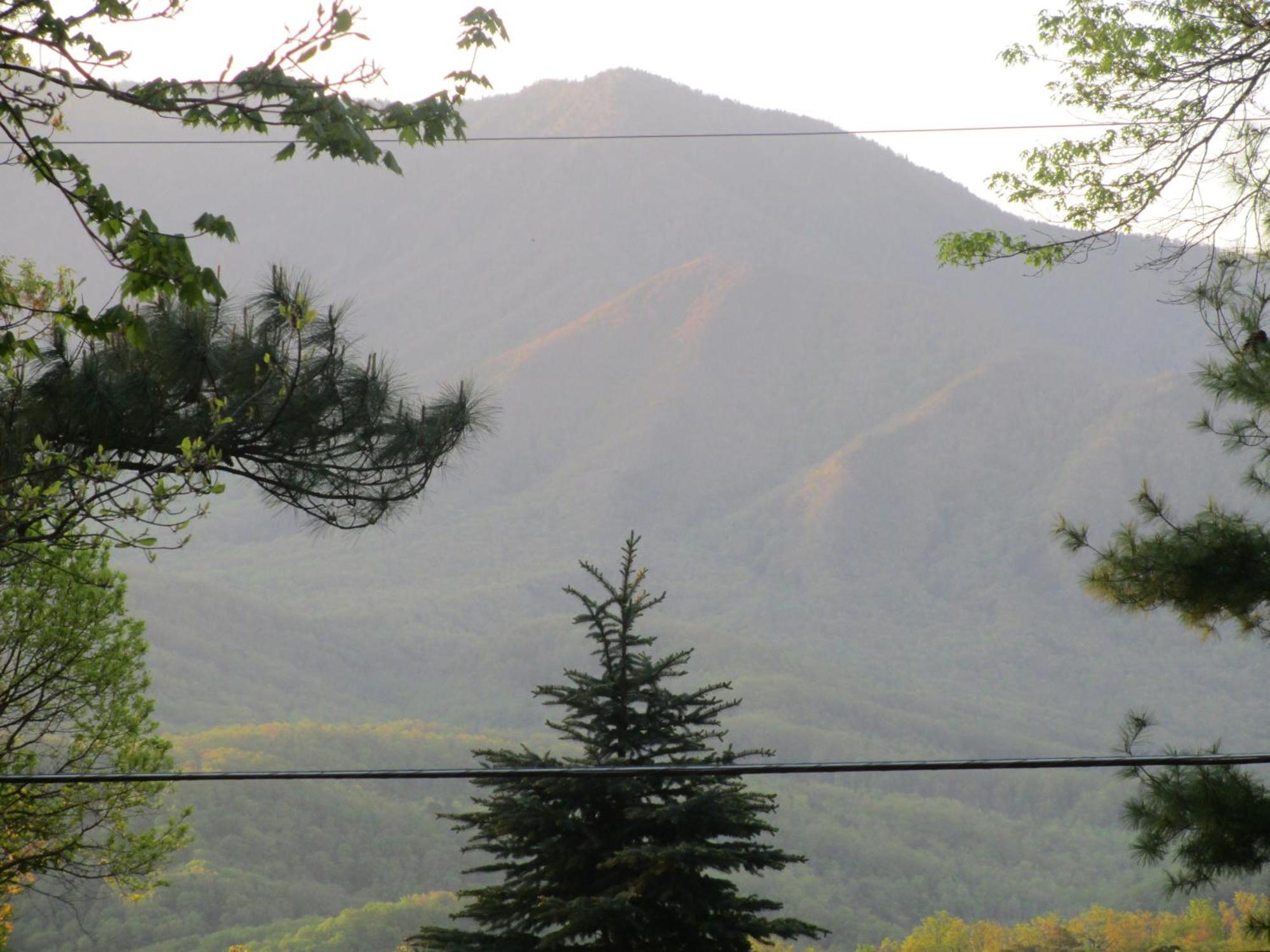 Honey Bear - Unique Boutique In With Mt Leconte View Chalet *