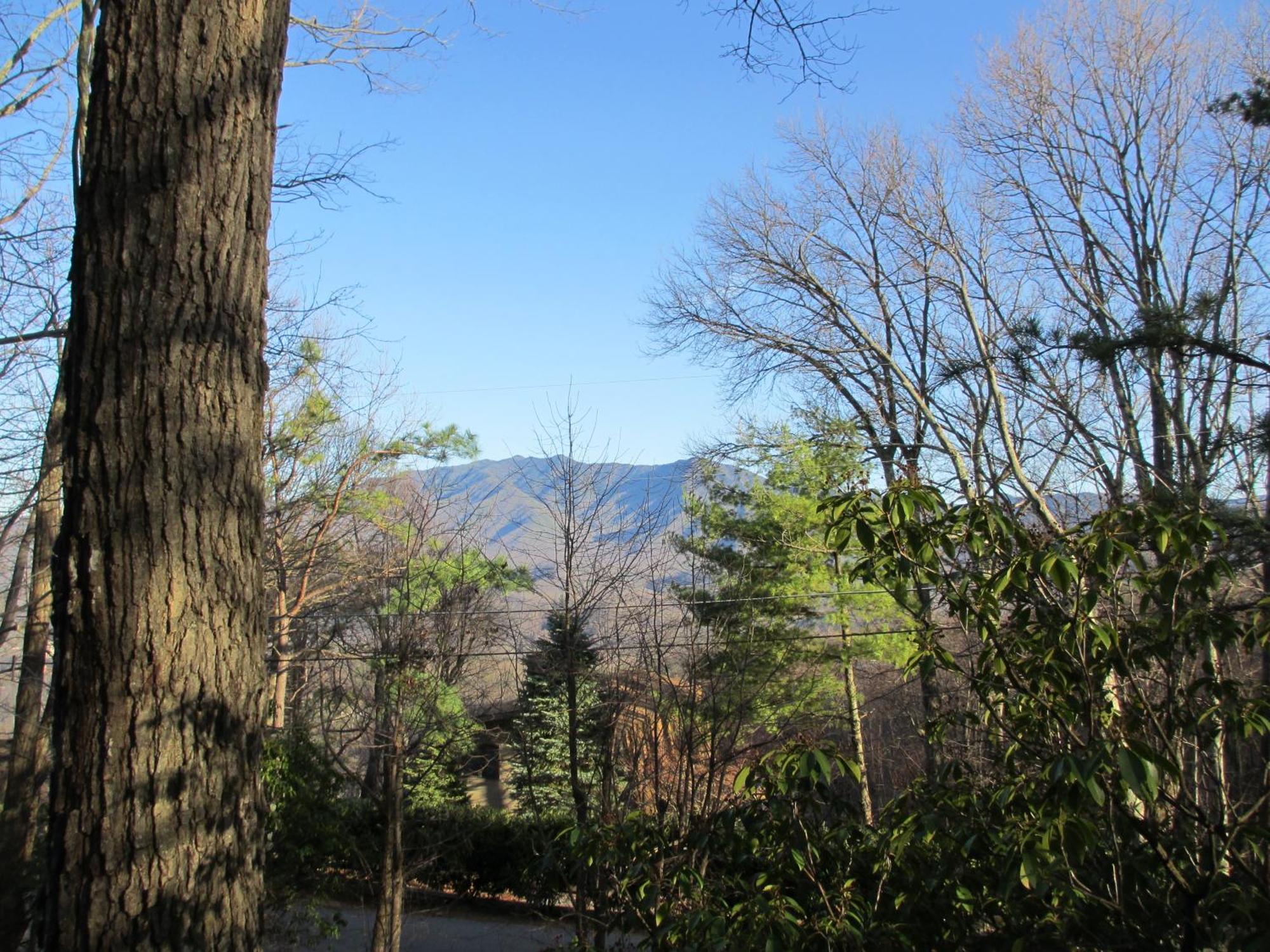 Honey Bear - Unique Boutique In With Mt Leconte View Gatlinburg