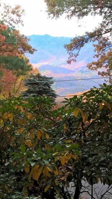 Chalet Honey Bear - Unique Boutique In With Mt Leconte View Gatlinburg