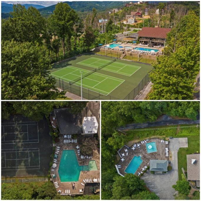 Treetops - 3bd/2bt Boutique W/mt Leconte Views In Chalet