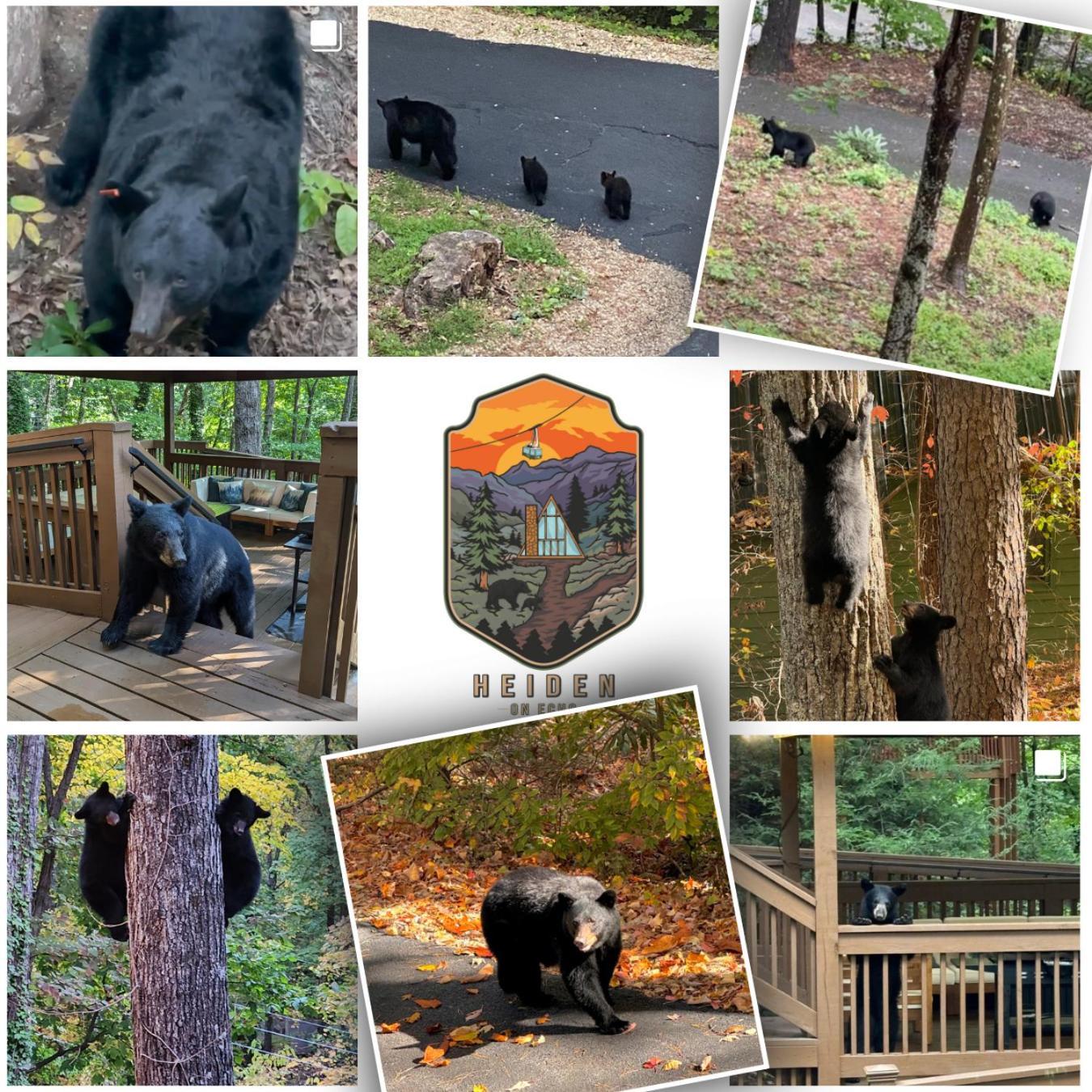 Chalet 1mile Downtown, Handicap Ramp, Hot Tub, Game Gatlinburg