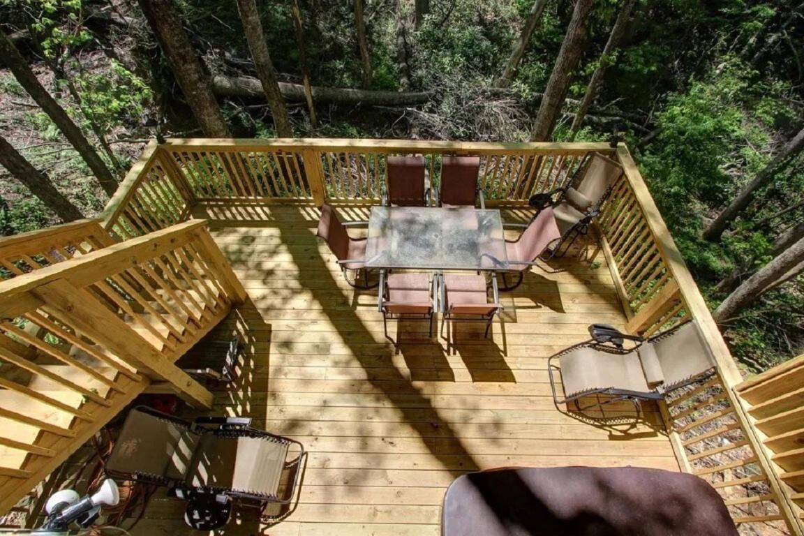 Bear Sanctuary Gatlinburg