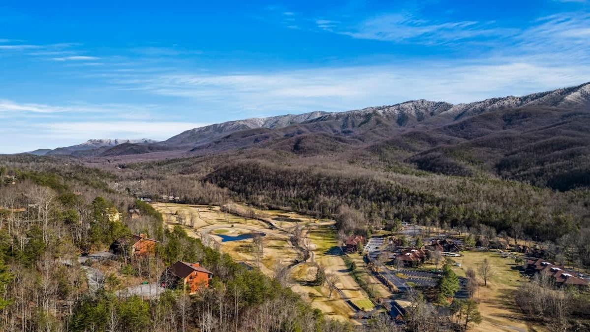 Black Bear Bliss Gatlinburg