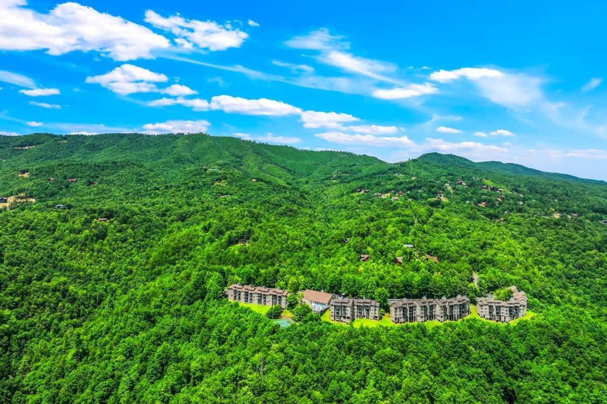 Holiday home Black Bear Bliss Gatlinburg