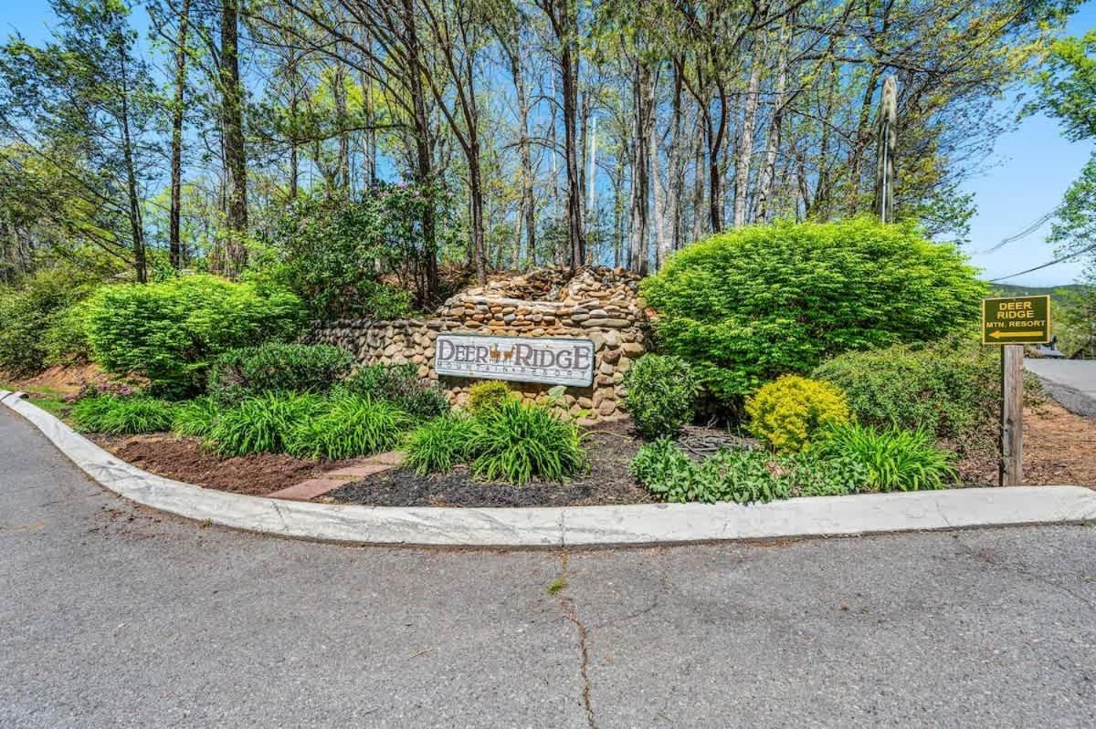 Holiday home Black Bear Bliss Gatlinburg