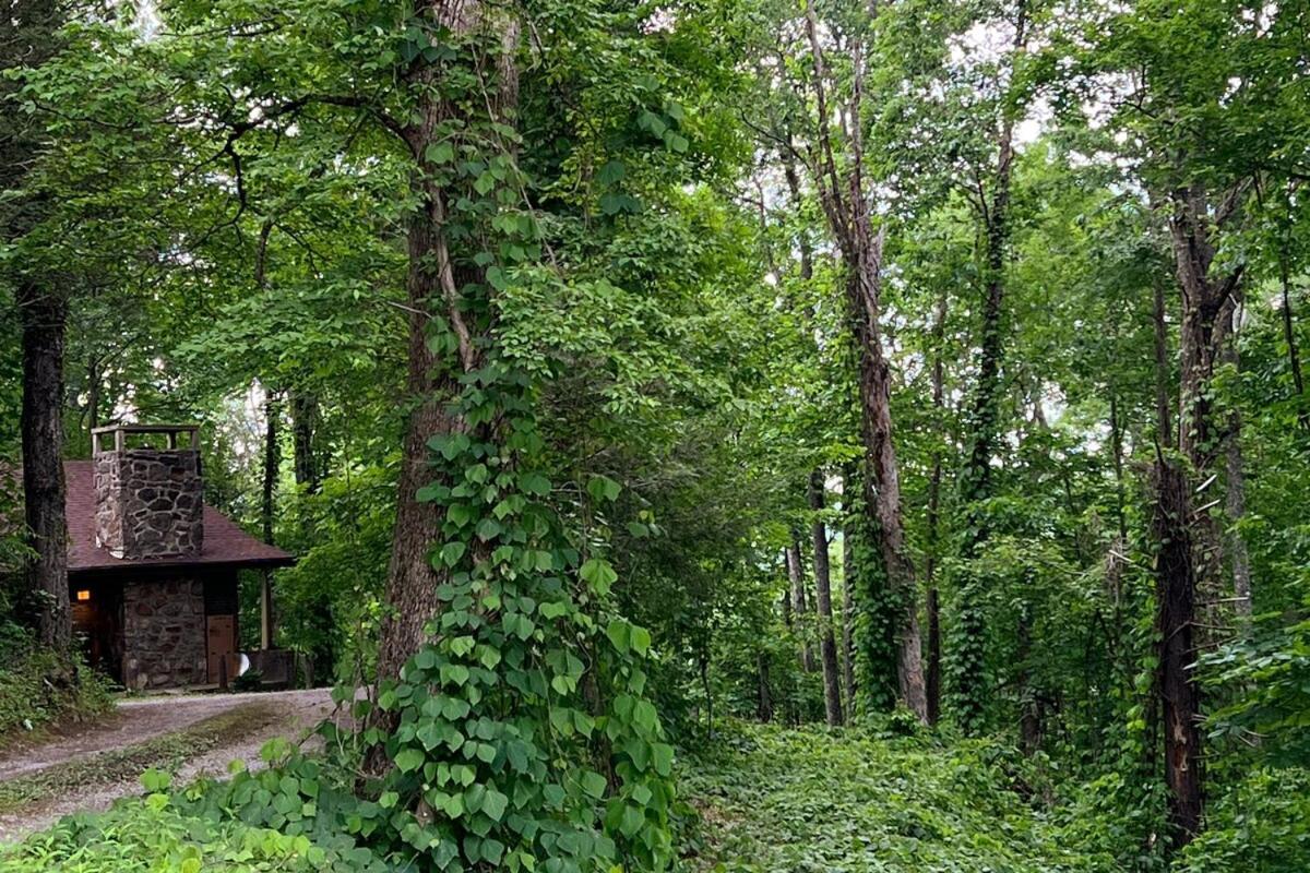 Holiday home Treetop Hideaway - Winter Escape With Hot Tub Gatlinburg