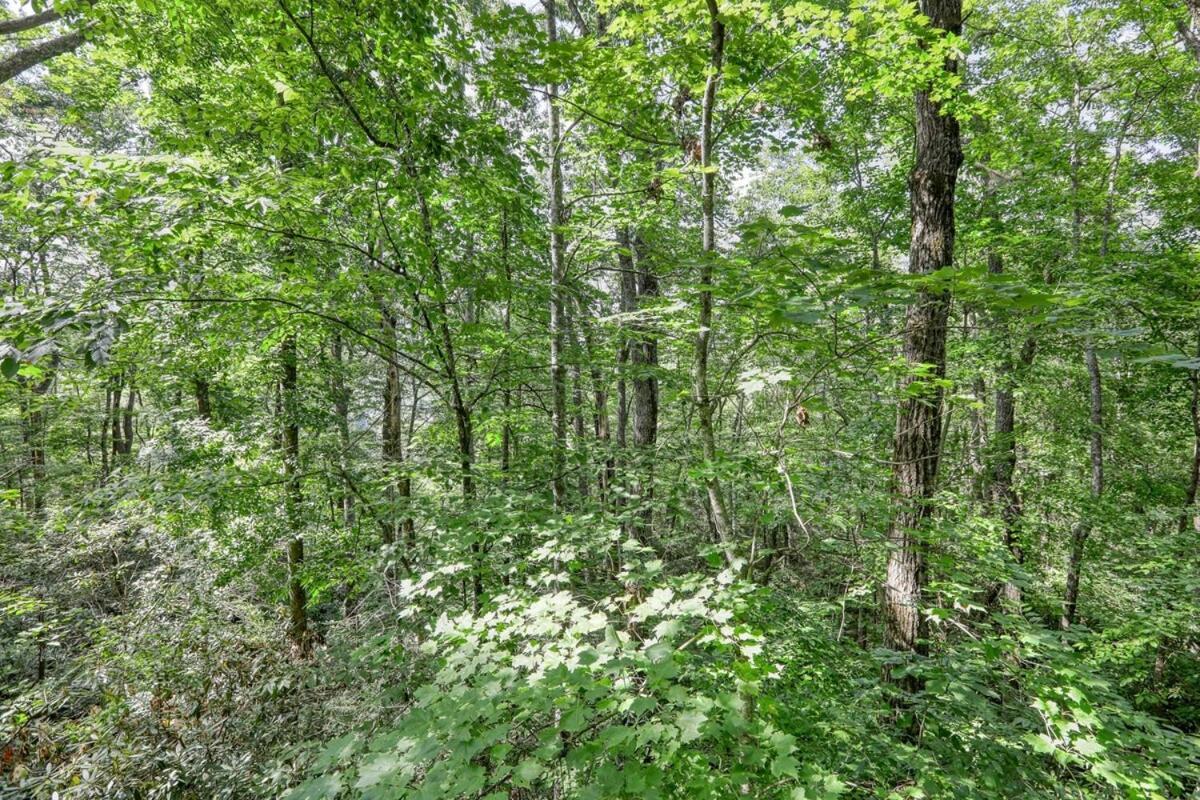 Treetop Hideaway - Winter Escape With Hot Tub Holiday home Gatlinburg