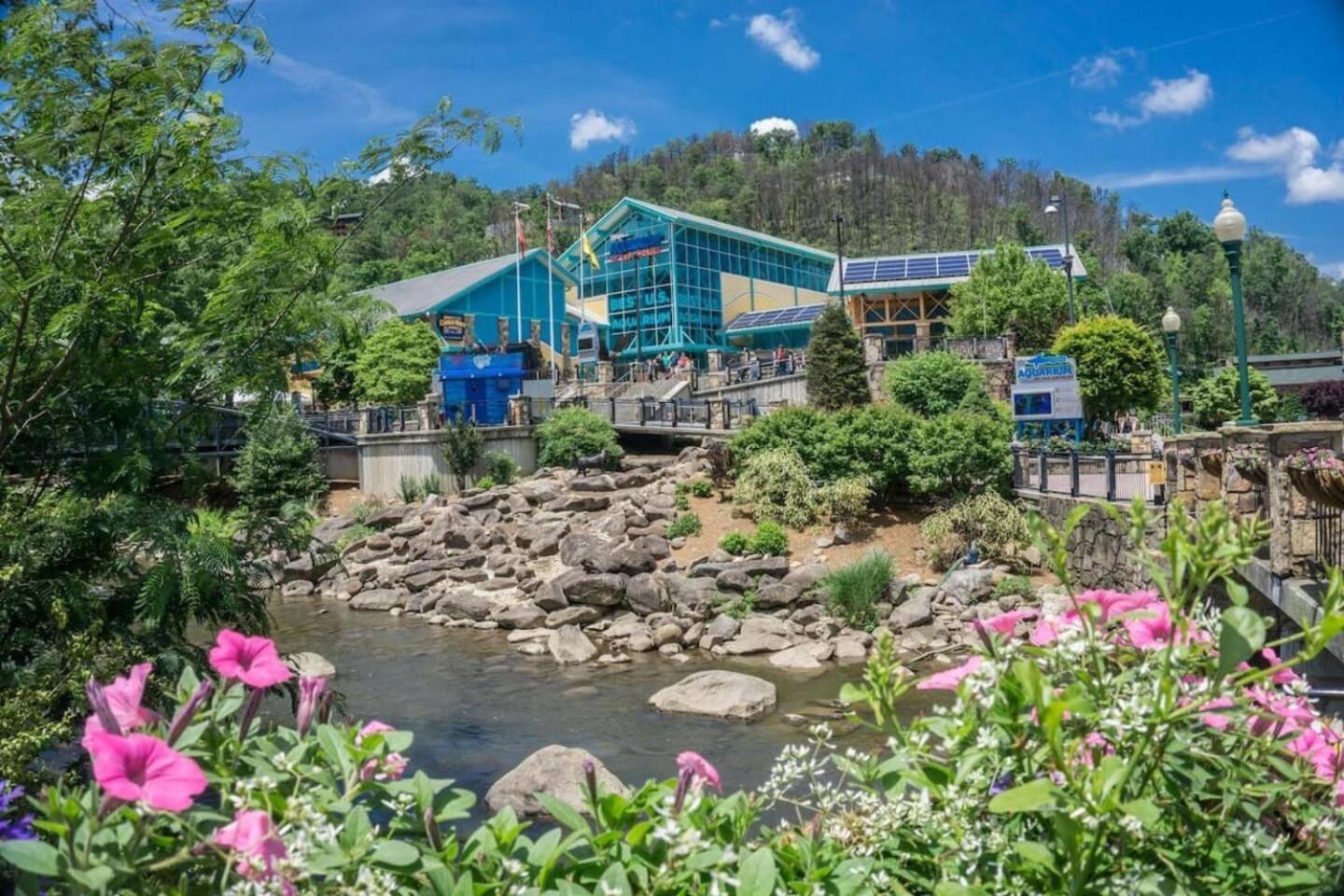 492b Massive 4 Bedroom With Great Views Hot Tub *