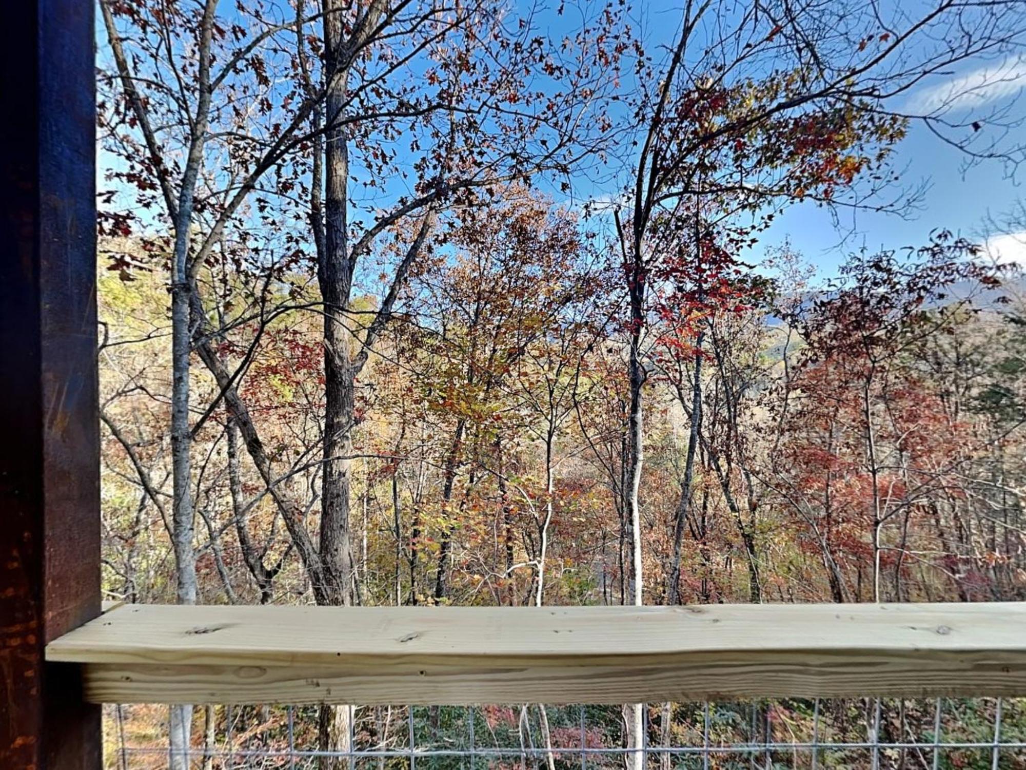Alexanders Lookout Holiday home