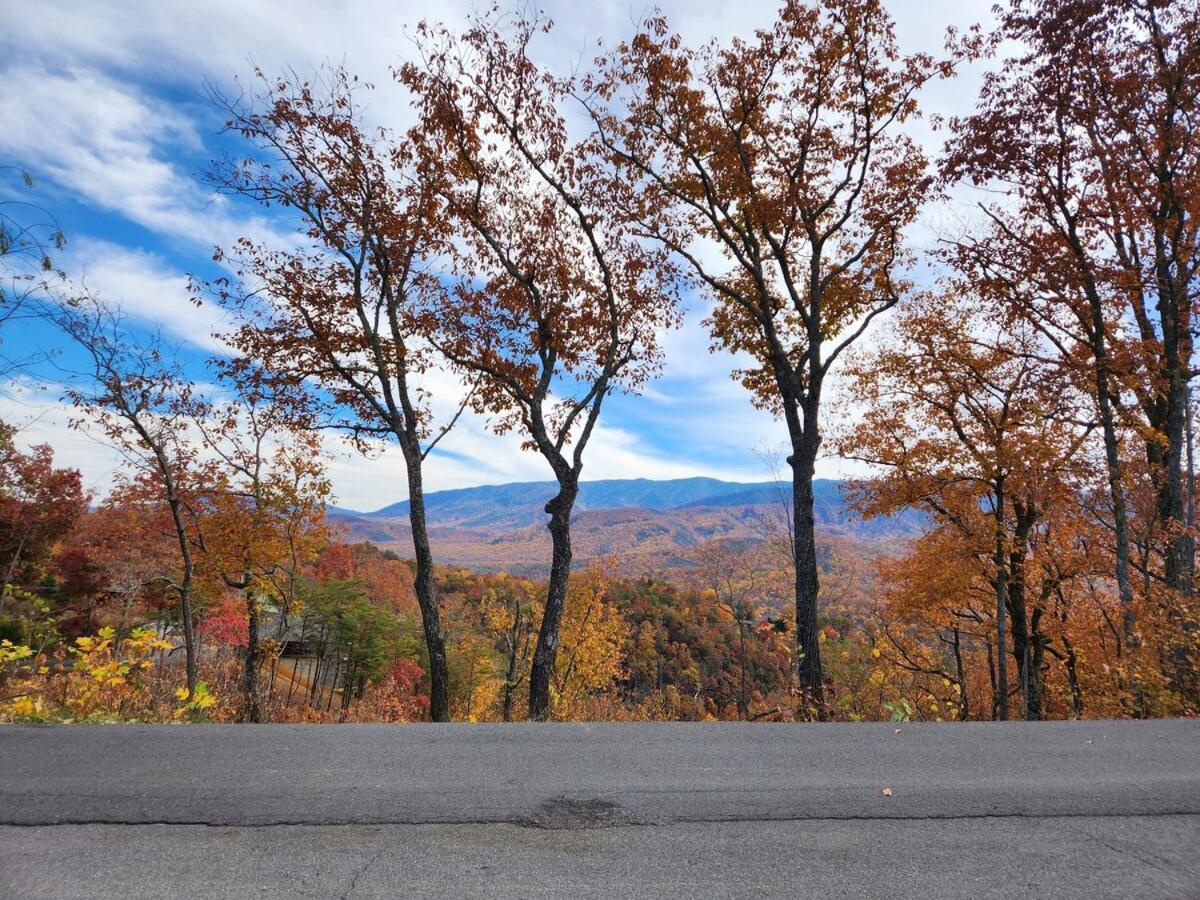 Private Secluded Luxury With Forest & Mt Views Gatlinburg