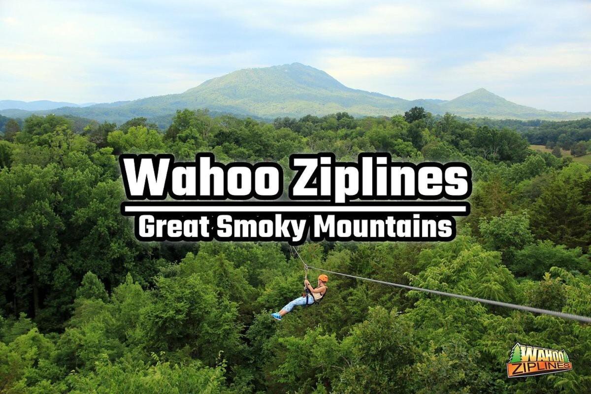 Serenity Views Hot Tub, Sauna, Fire Pit, Game Gatlinburg