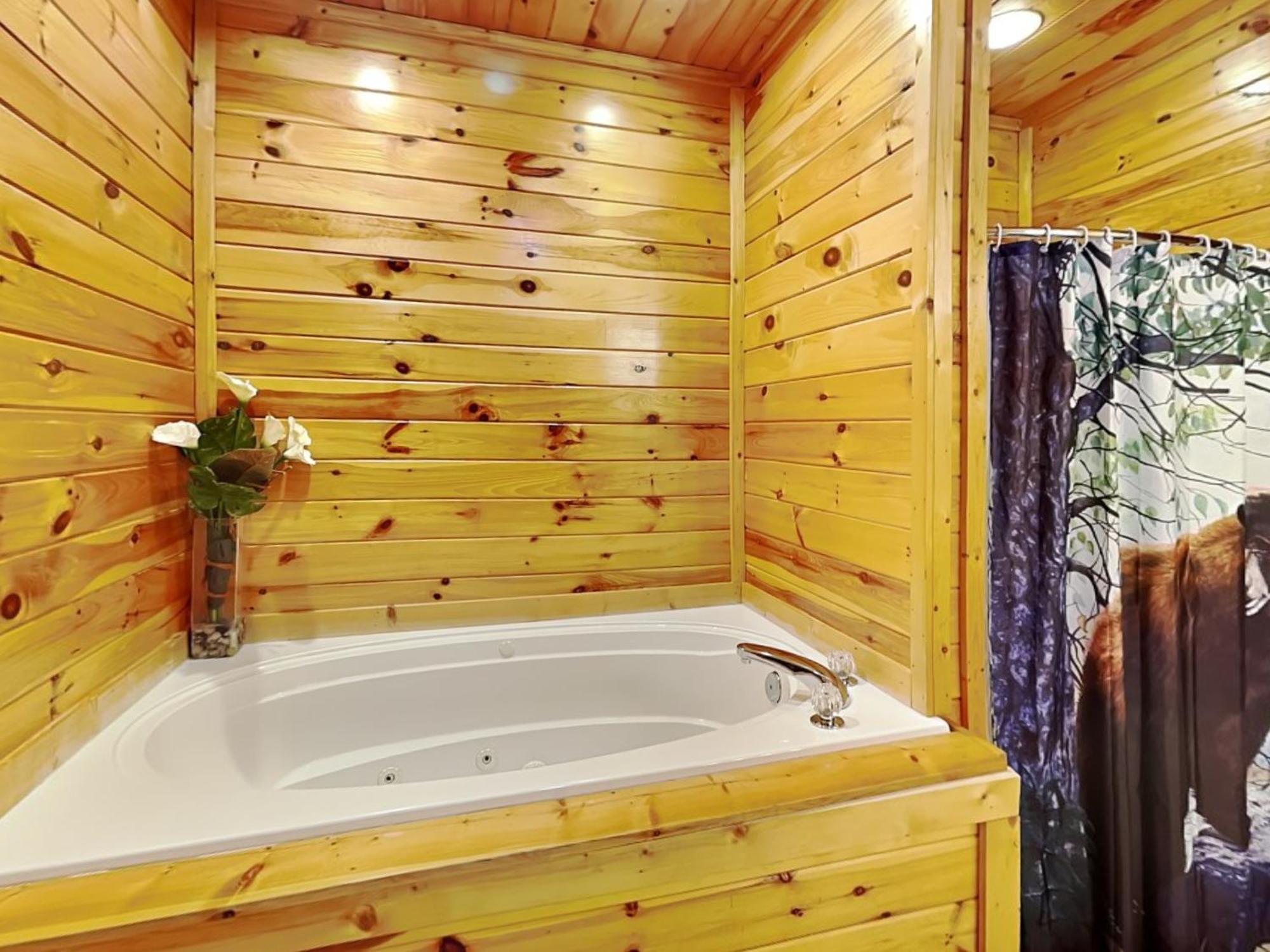 Apple Bear Holiday home Gatlinburg