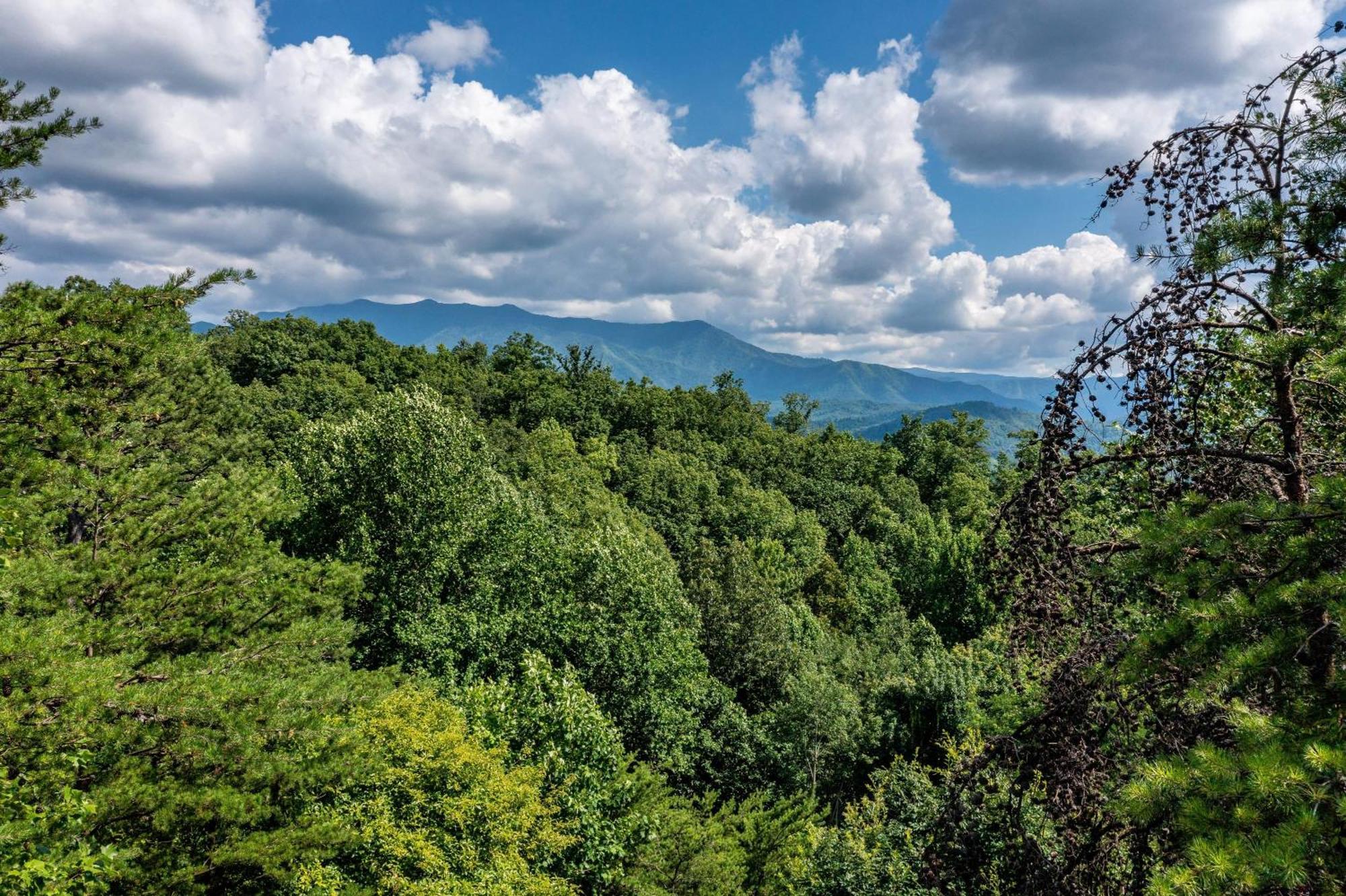 Holiday home Family Friendly Great Views Game & Hot Tub Gatlinburg