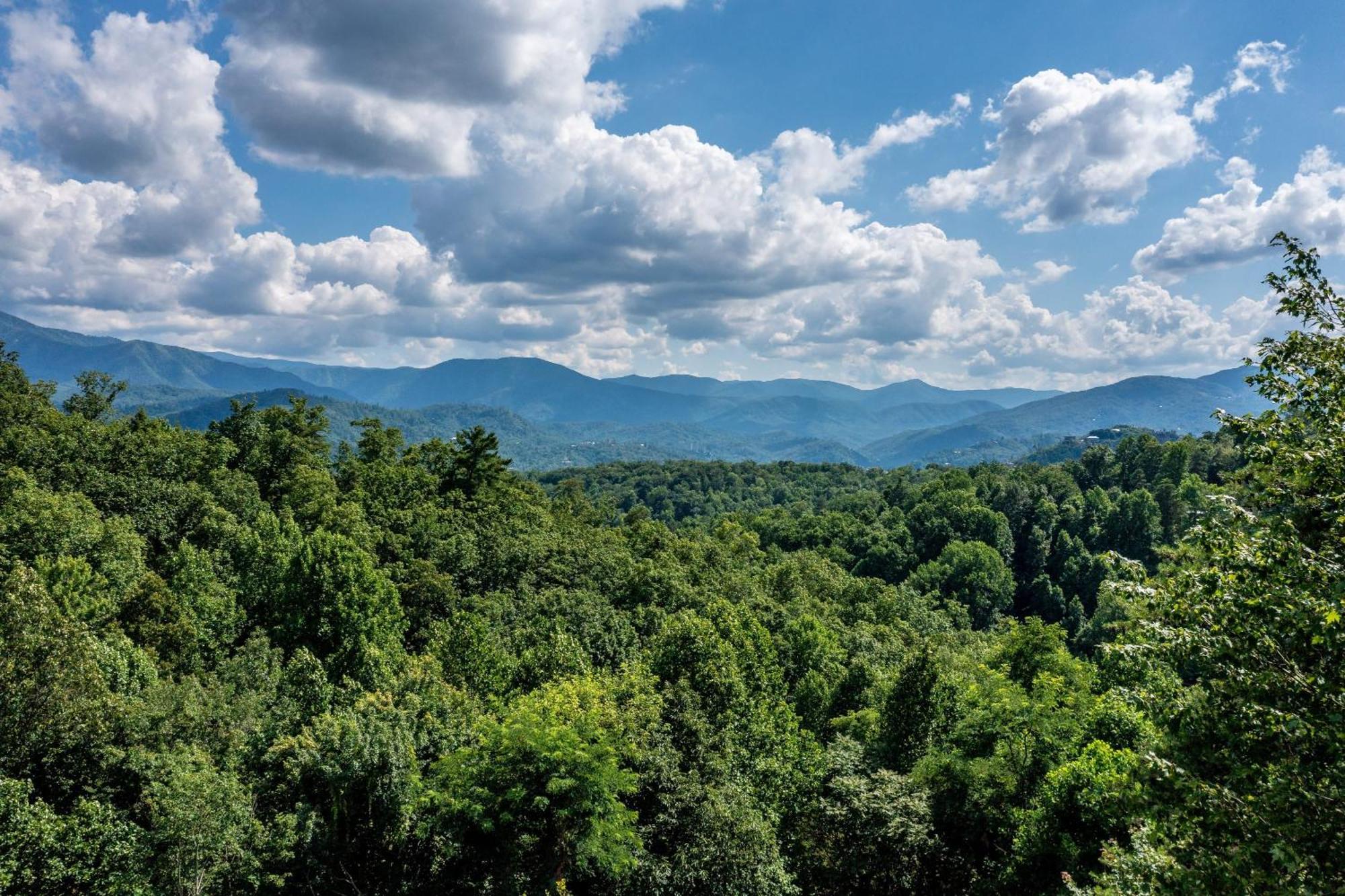 Family Friendly Great Views Game & Hot Tub * Gatlinburg