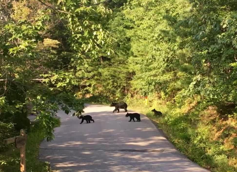 Prime Location W Hot Tub Games & Scenic Views * Gatlinburg