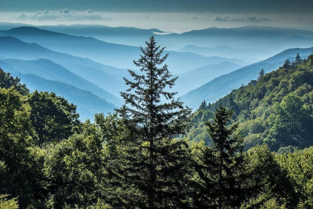 Serenity Of Gatlinburg*indoor & Outdoor Pool *