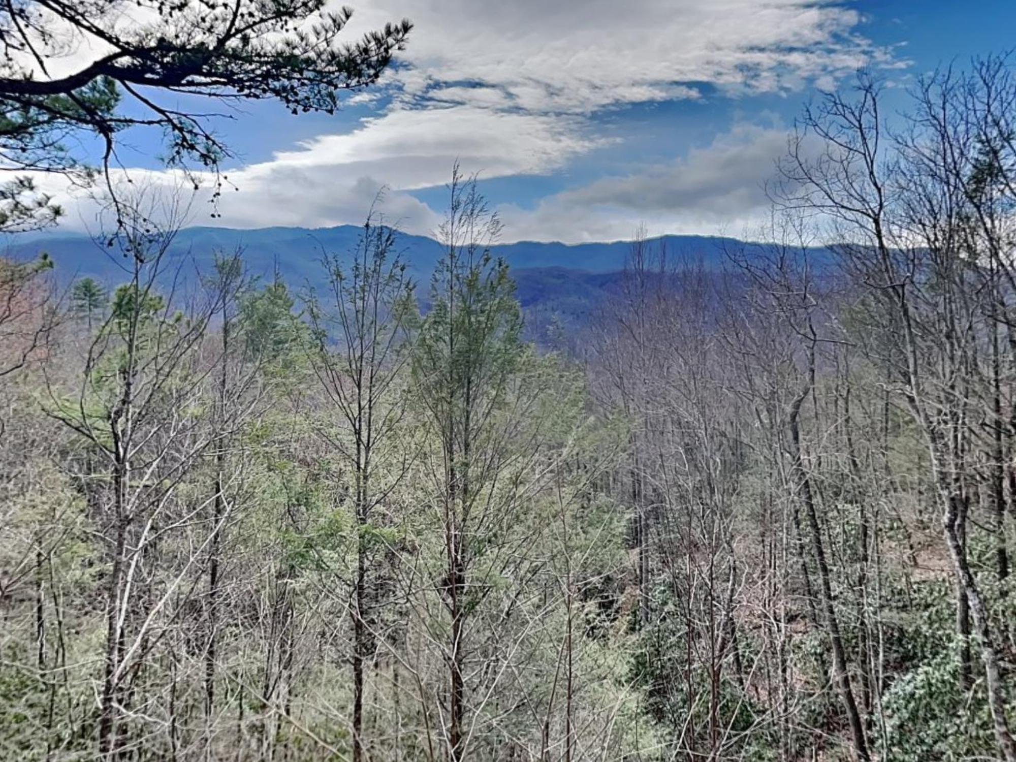 Majestic View Holiday home Gatlinburg