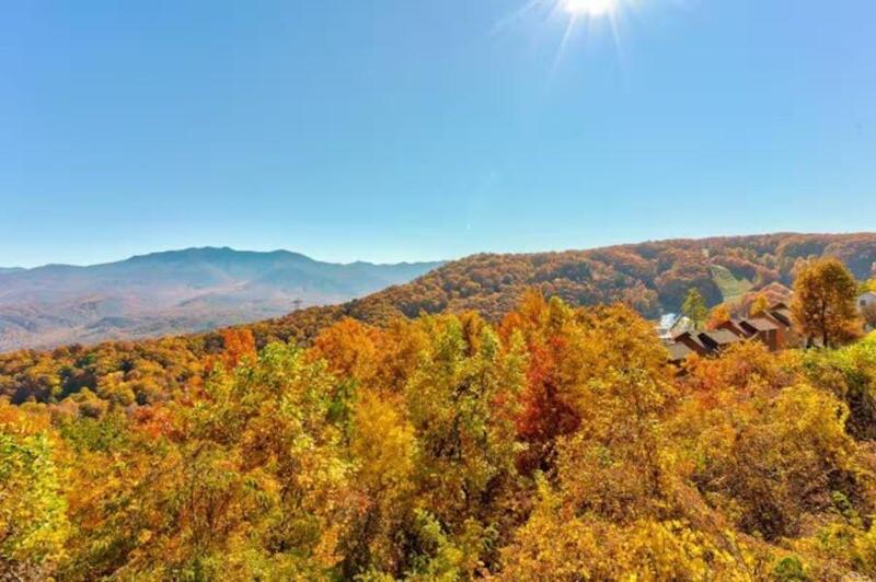 Mountaintop With Incredible View Apartment