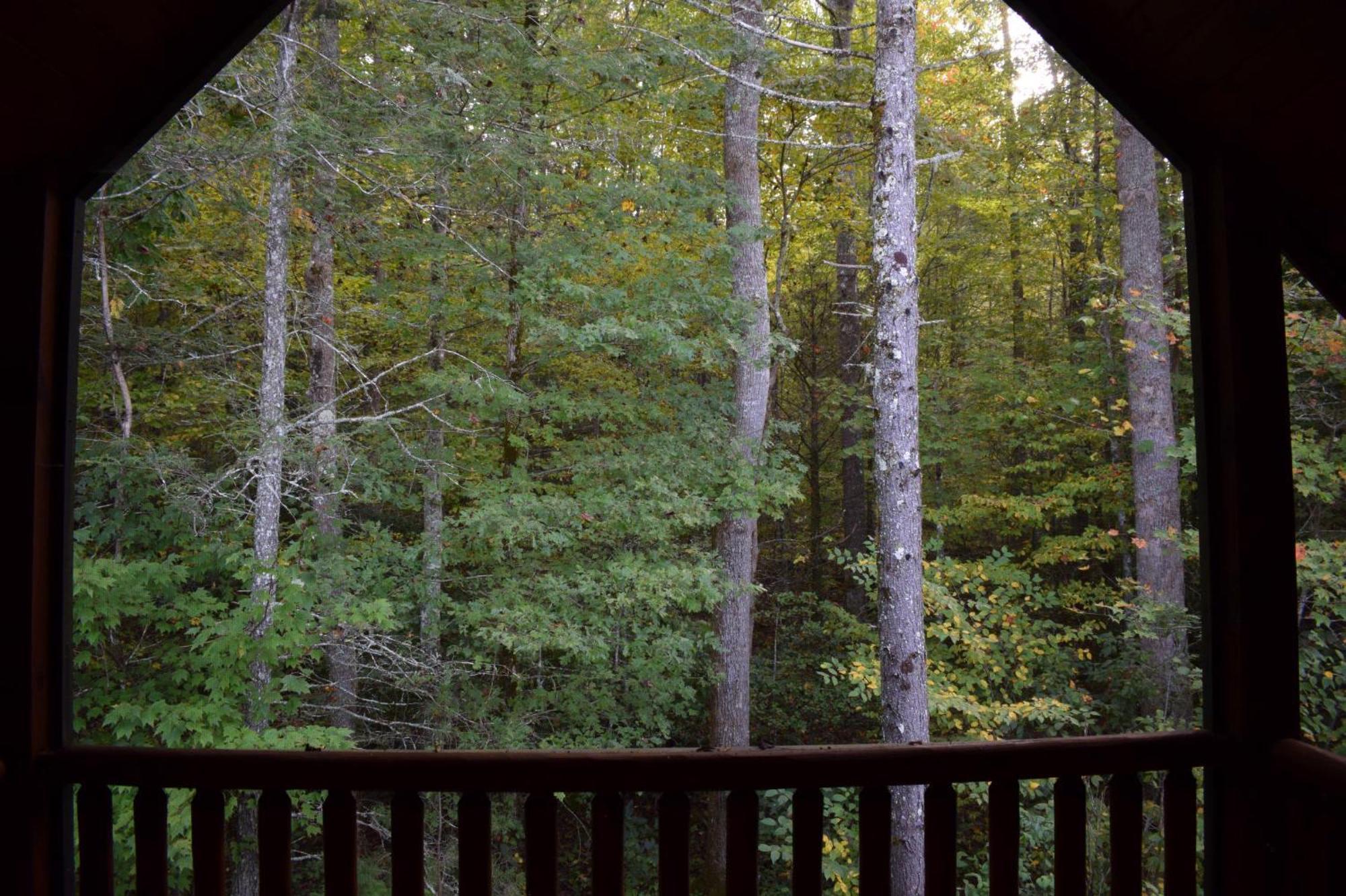 Holiday home Lovely Cabin-close To The Fun! Gatlinburg