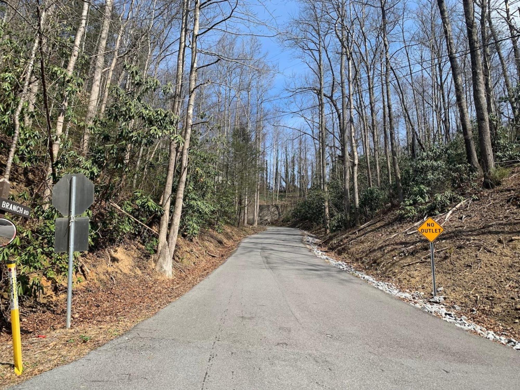 Lovely Near Gsmnp & Attractions -hot Tub! Gatlinburg