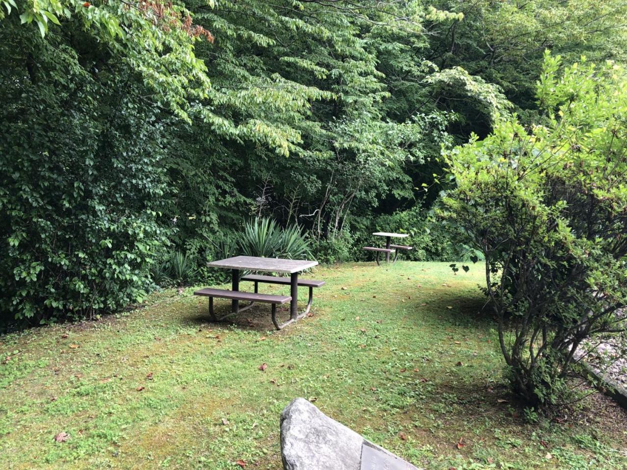 Waterside Wanderer- Water View- Hot Tub- Mini Golf- Pet Friendly Holiday home Gatlinburg