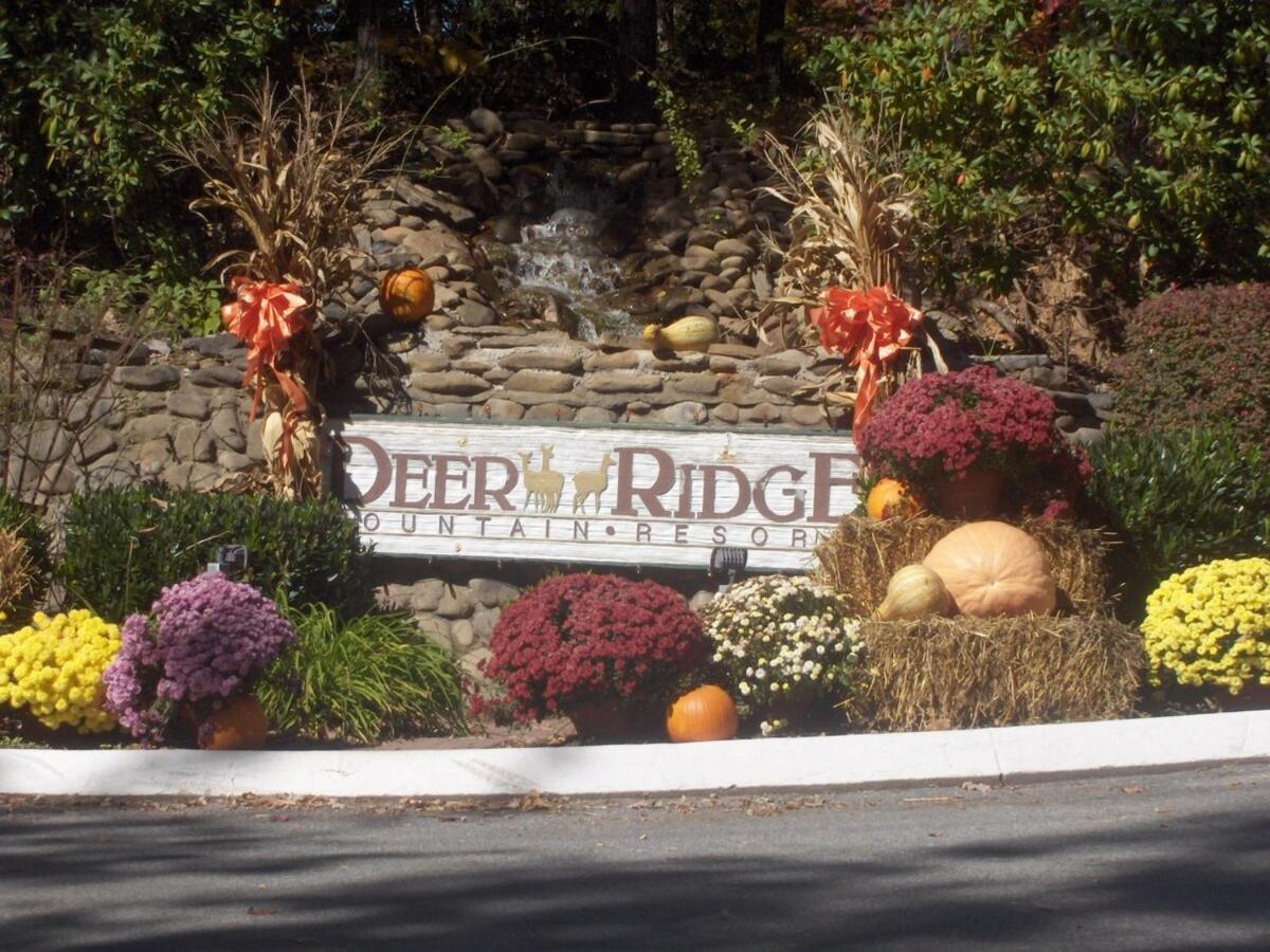 Apartment Vista Ridge Retreat *