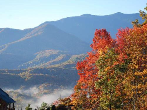 Moonshiner's Legacy * Gatlinburg