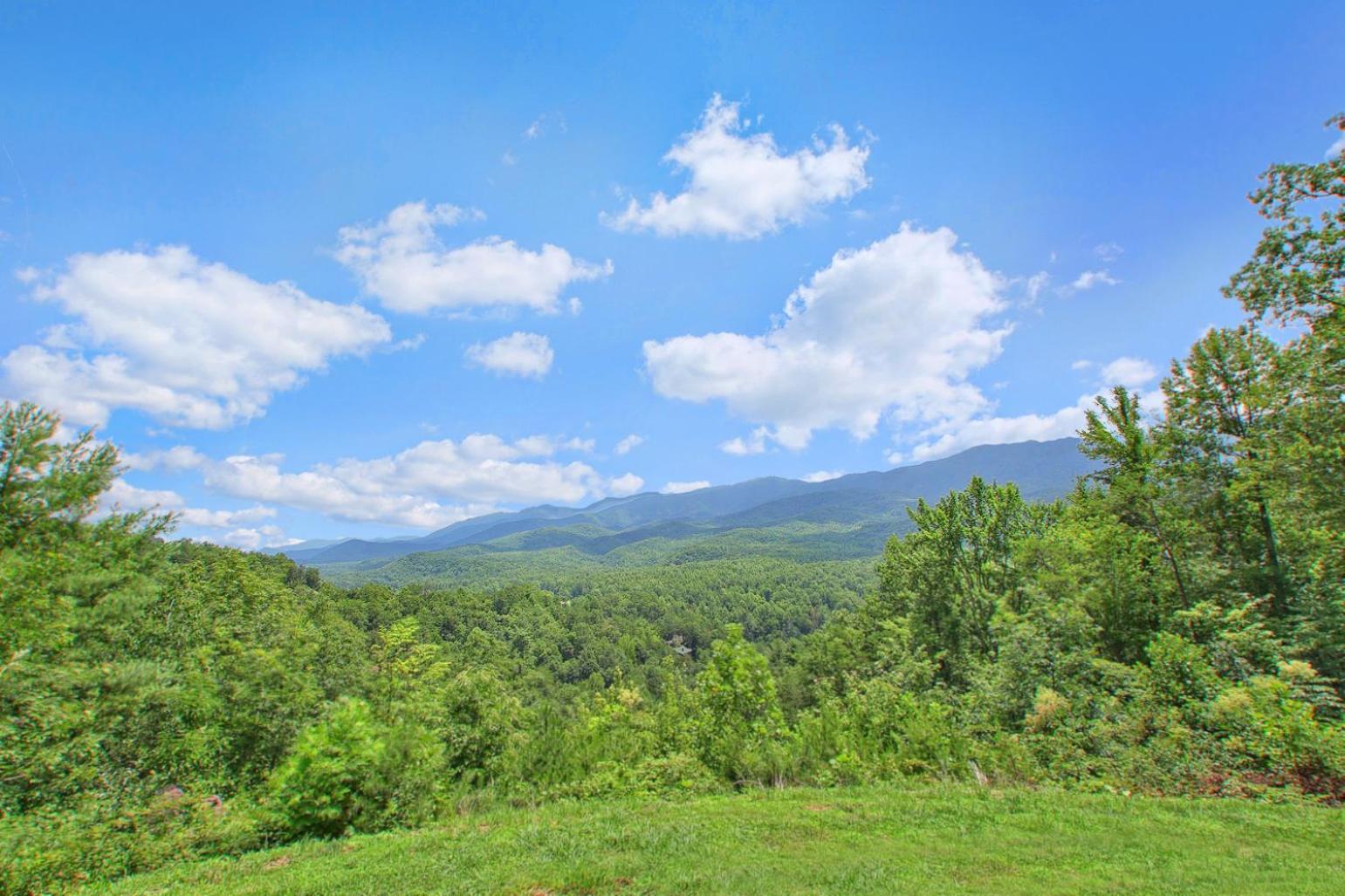 Bearfoot Memories * Gatlinburg