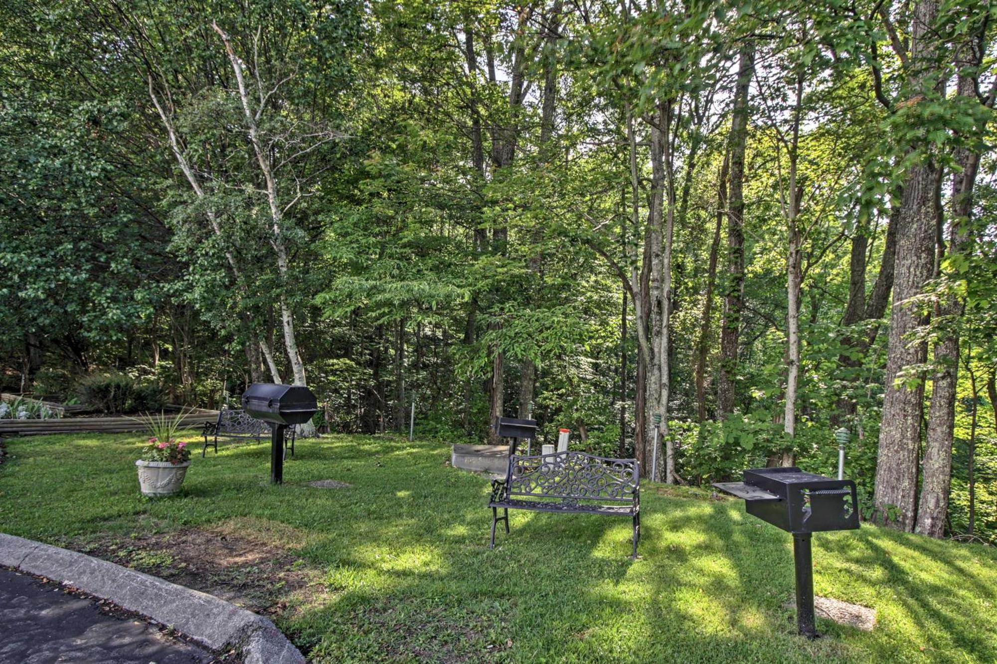 Apartment Hike, Swim And Explore Mtn-view In *
