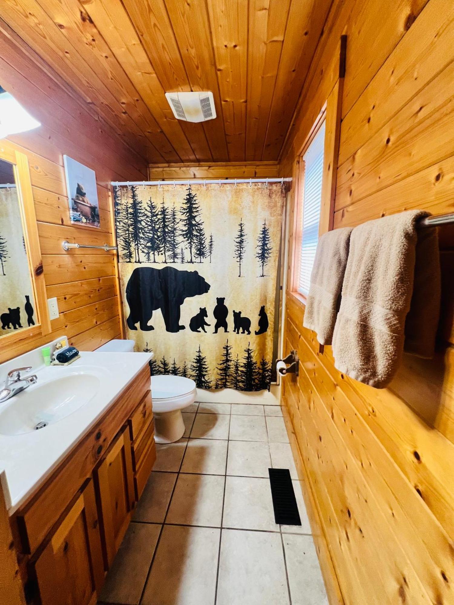 Daa Bears Holiday home Gatlinburg