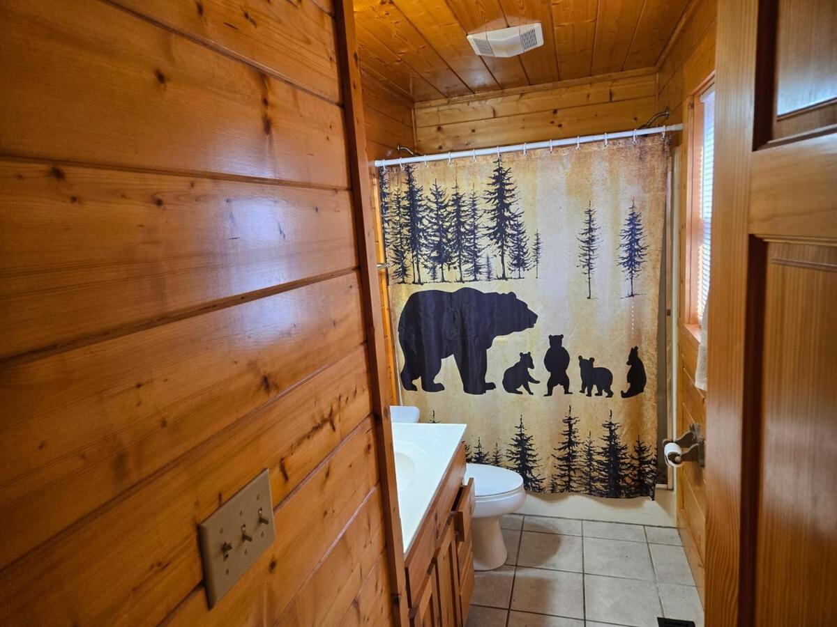 Daa Bears *
