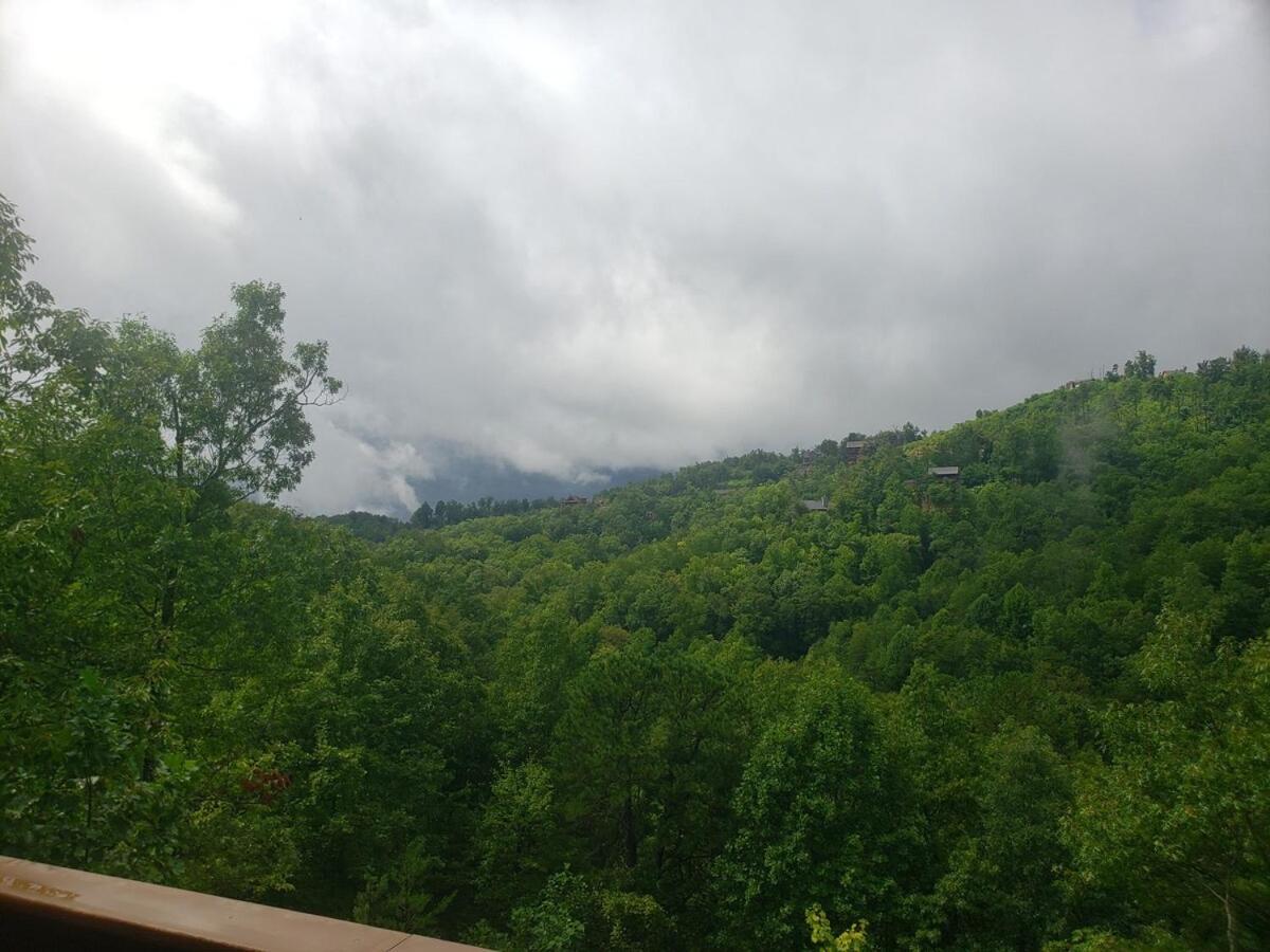 Daa Bears * Gatlinburg