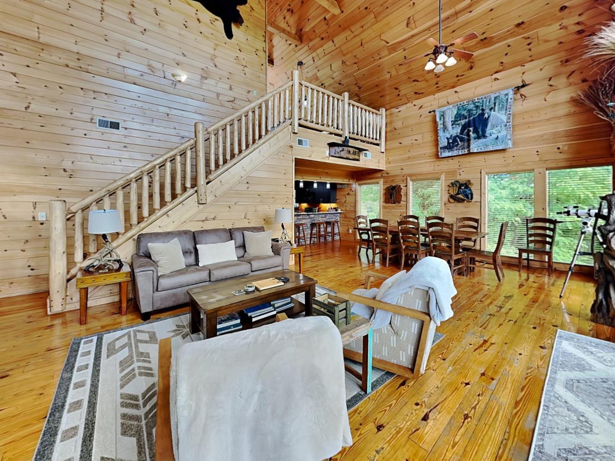 Bears Eye View * Gatlinburg
