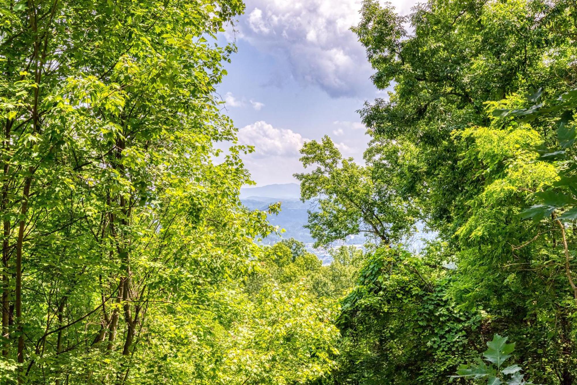 Holiday home Dancing Bear Lodge, 1089 Free Attraction Tickets For Each Paid Day, Dollywood And