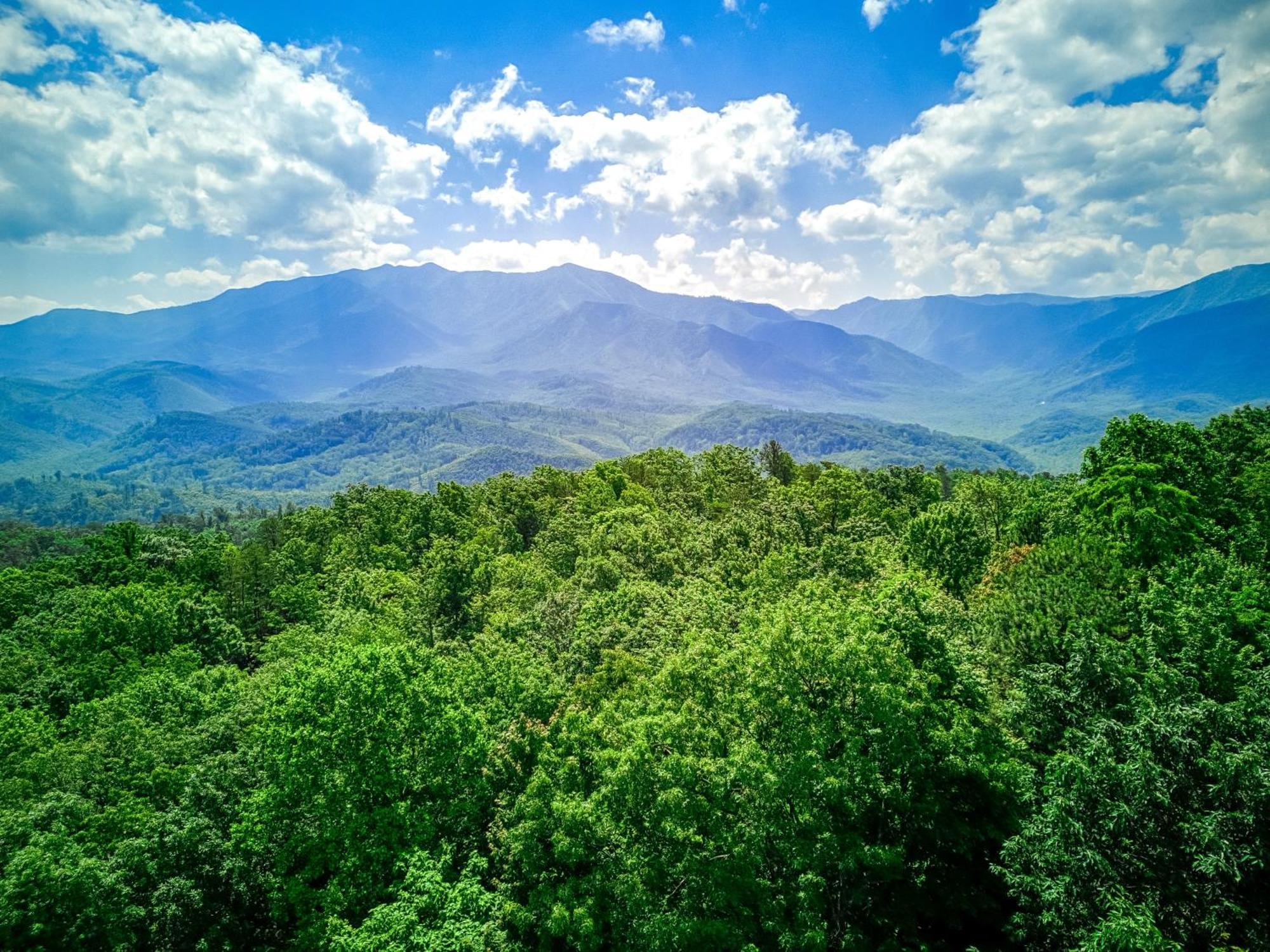Dancing Bear Lodge, 1089 Free Attraction Tickets For Each Paid Day, Dollywood And Gatlinburg