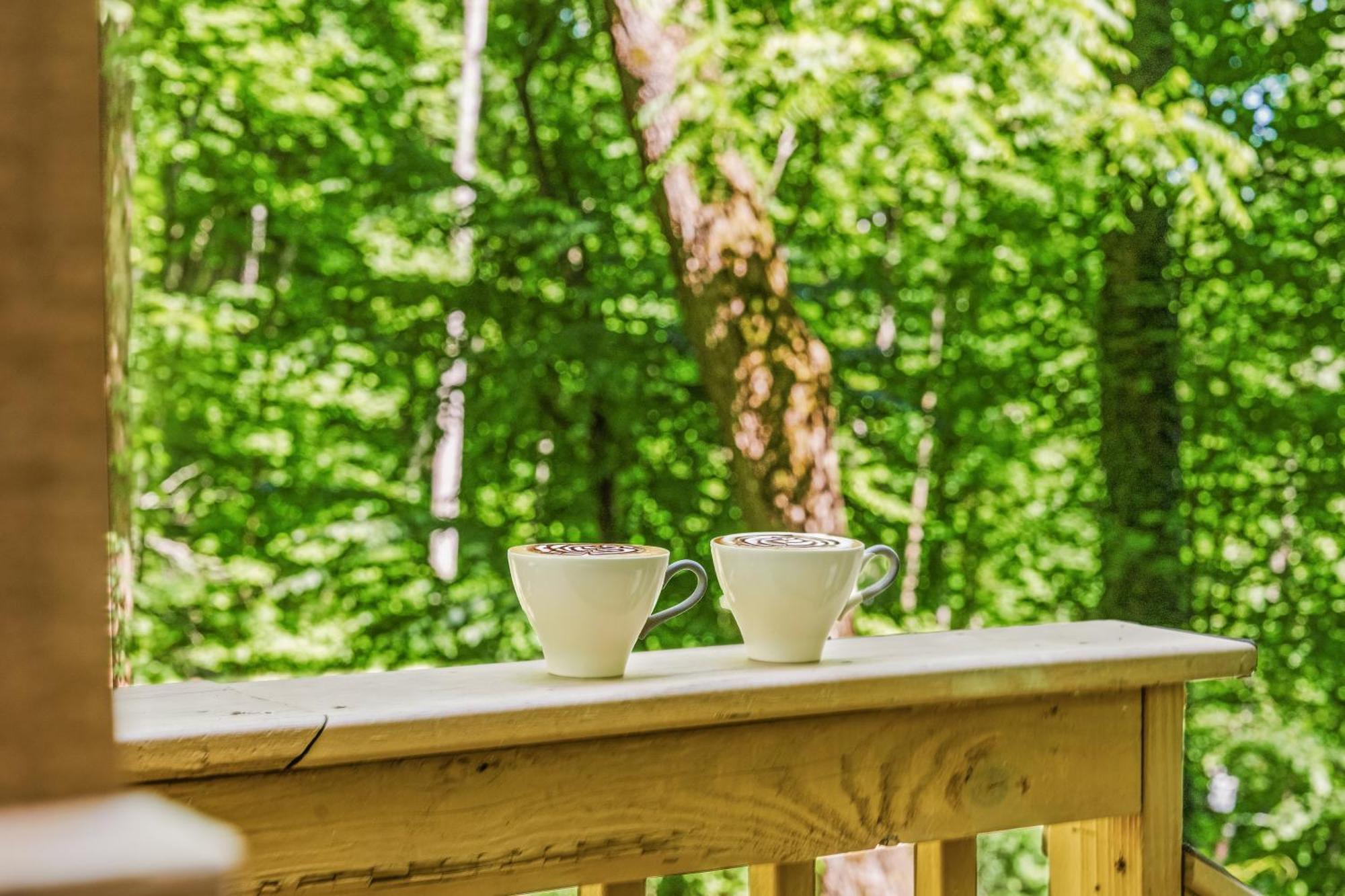 Holiday home Secluded Nature Views, Hot Tub, Wifi, King Bed, Fireplace