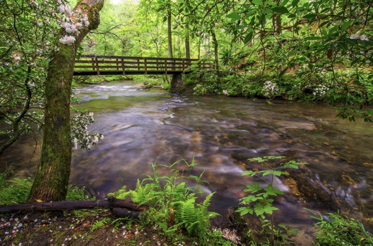 In The Smokies By Avada * Gatlinburg