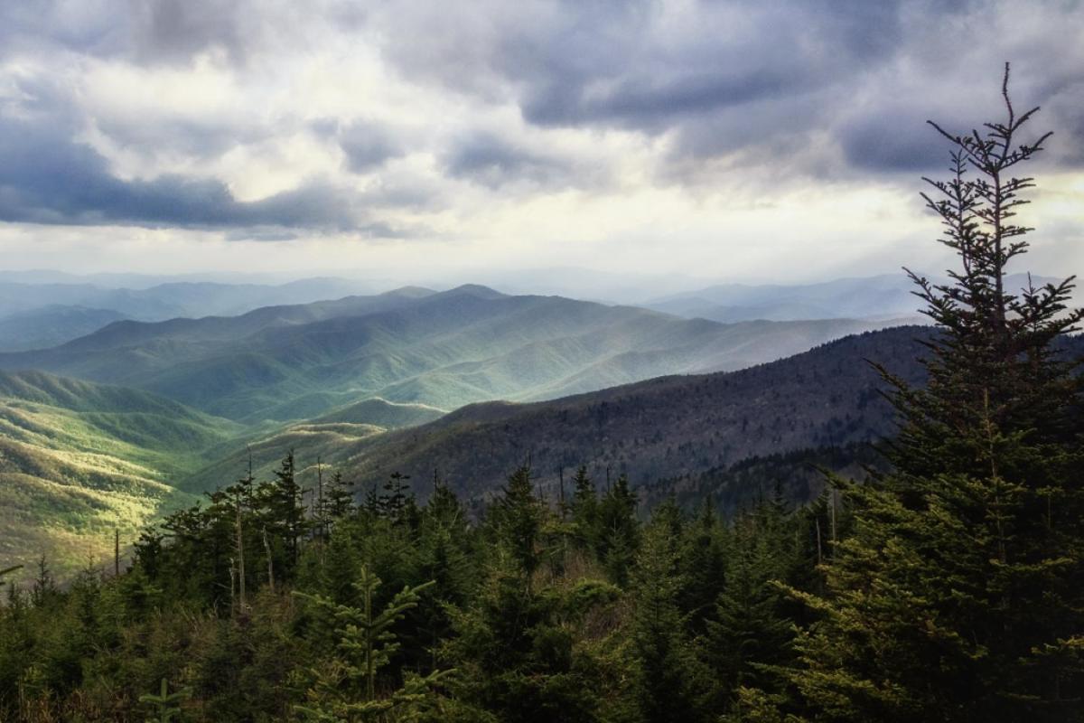 In The Smokies By Avada
