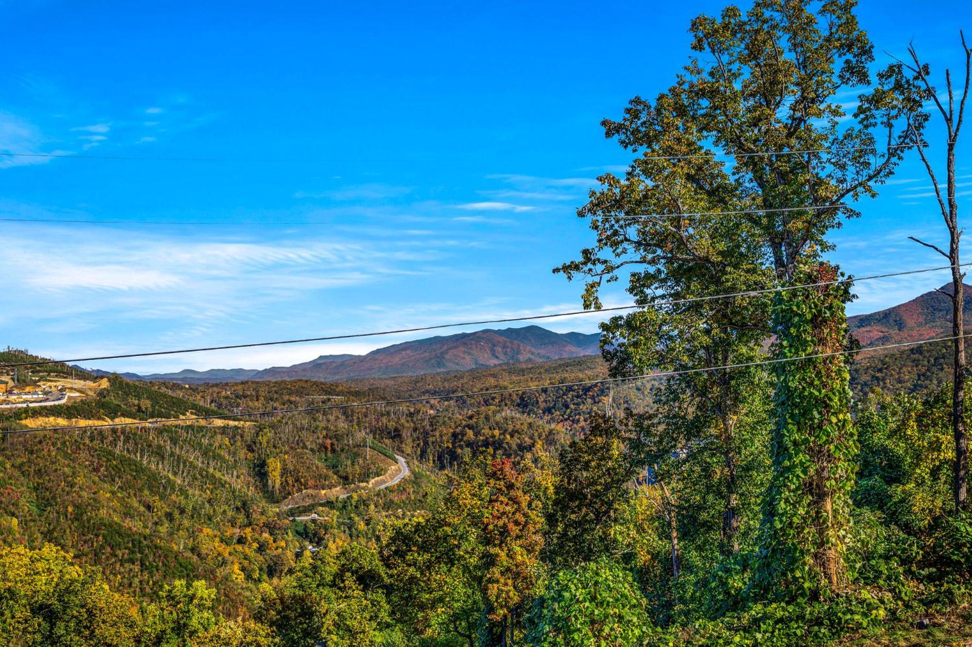 Cub Mountain View By Avada