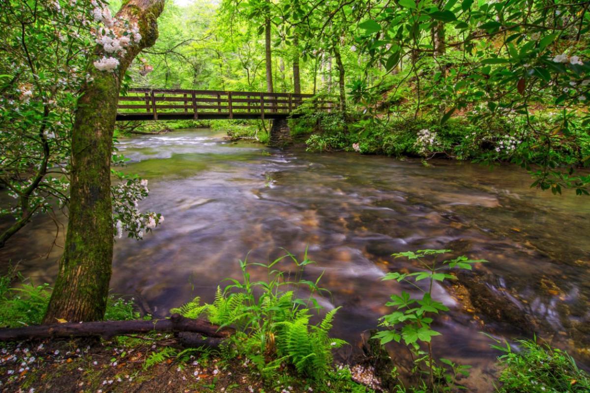 Deer Ridge Retreat By Avada Holiday home Gatlinburg