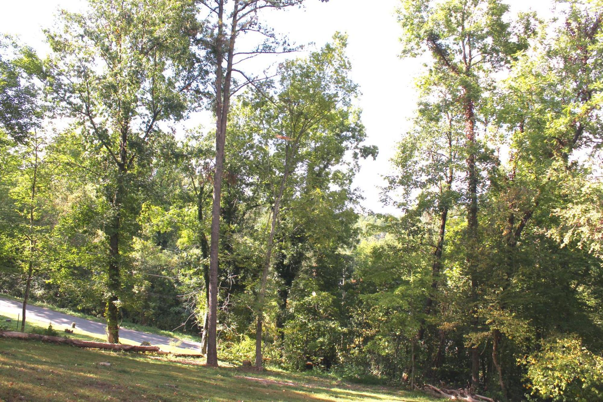 Holiday home Deer Ridge Retreat By Avada *