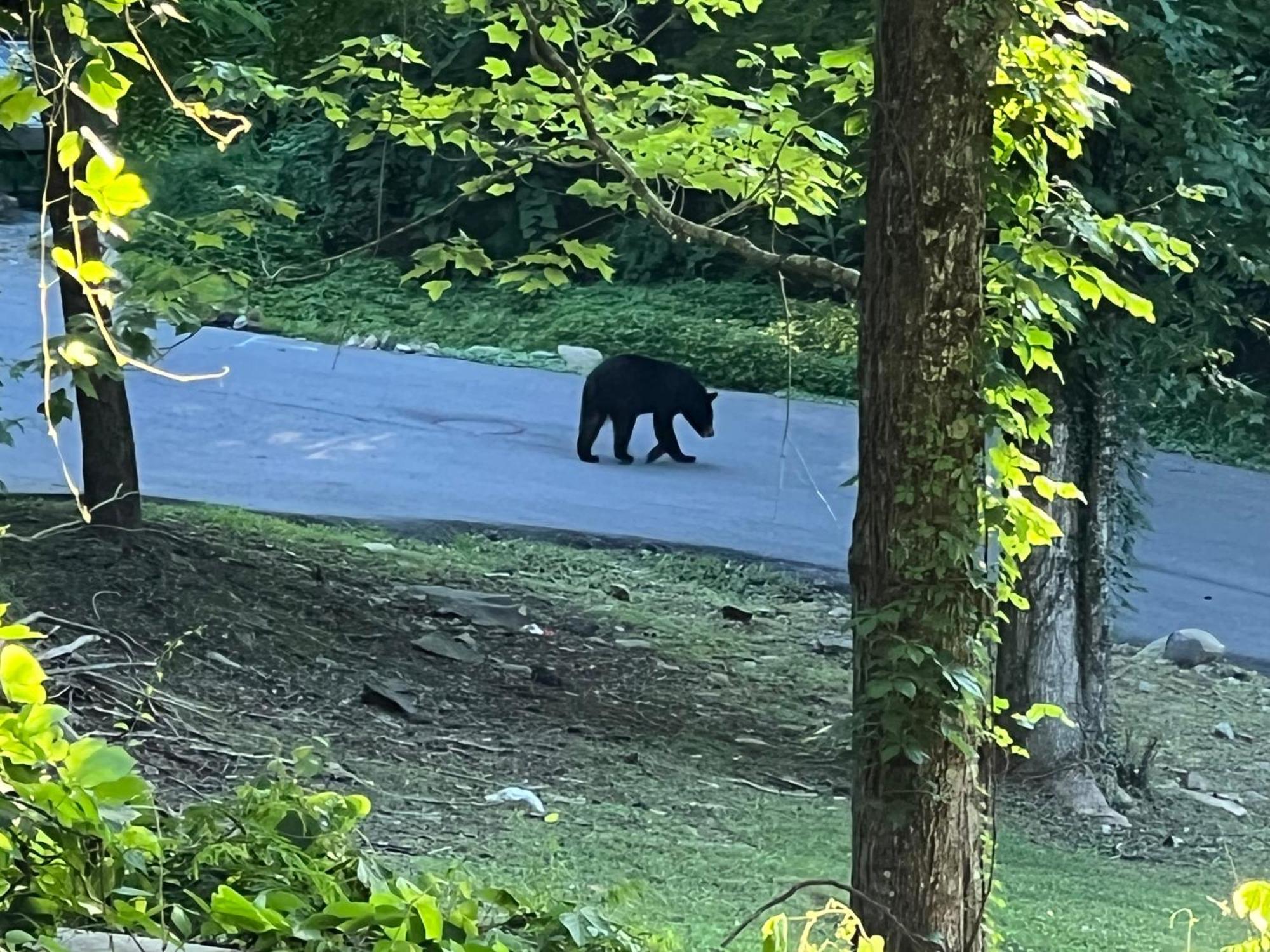 Deer Ridge Retreat By Avada Holiday home Gatlinburg