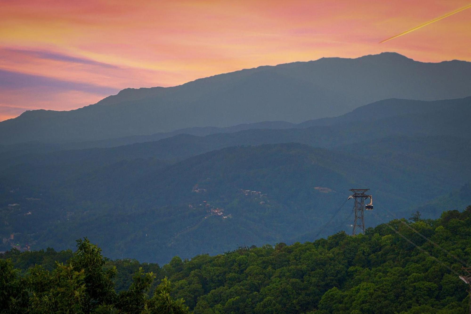 Bears On Skis * Gatlinburg