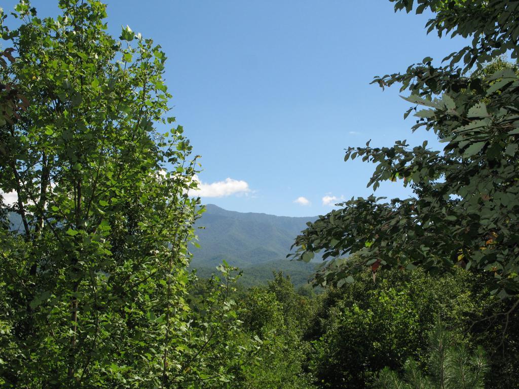 Holiday home Above The Clouds - Four Bedroom Gatlinburg