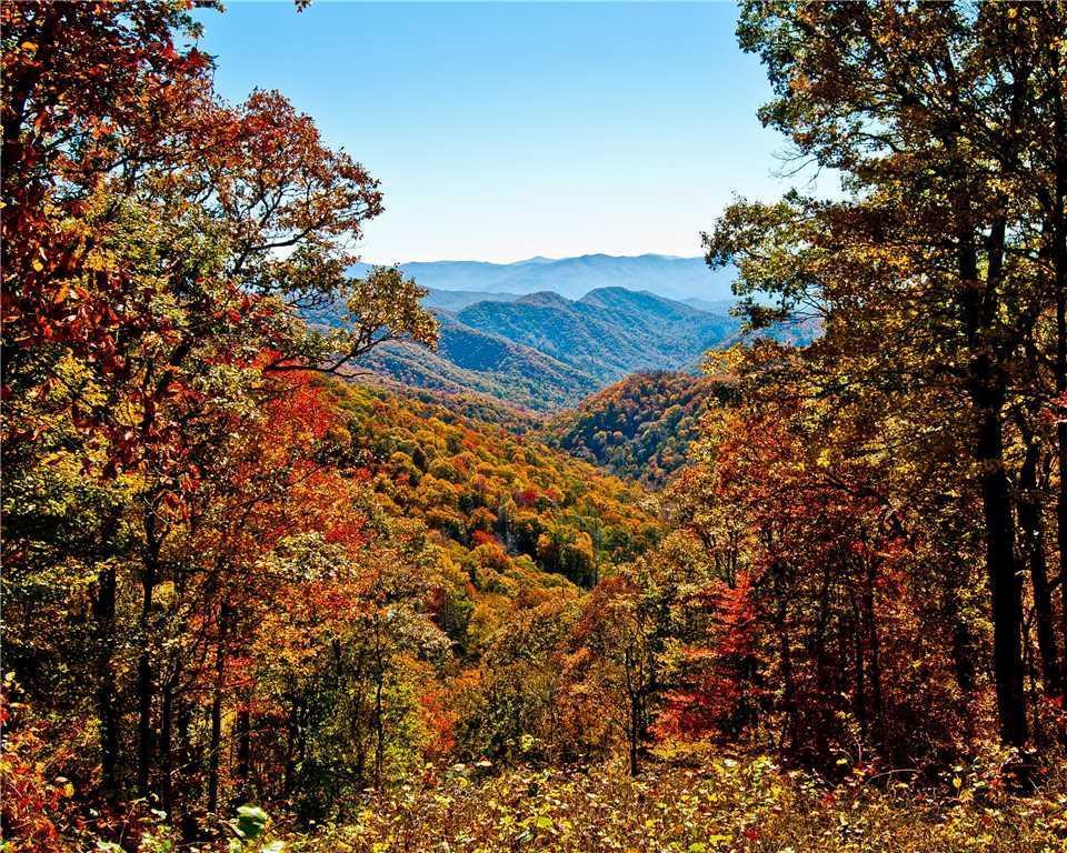 Annie's Smoky View - Two Bedroom *