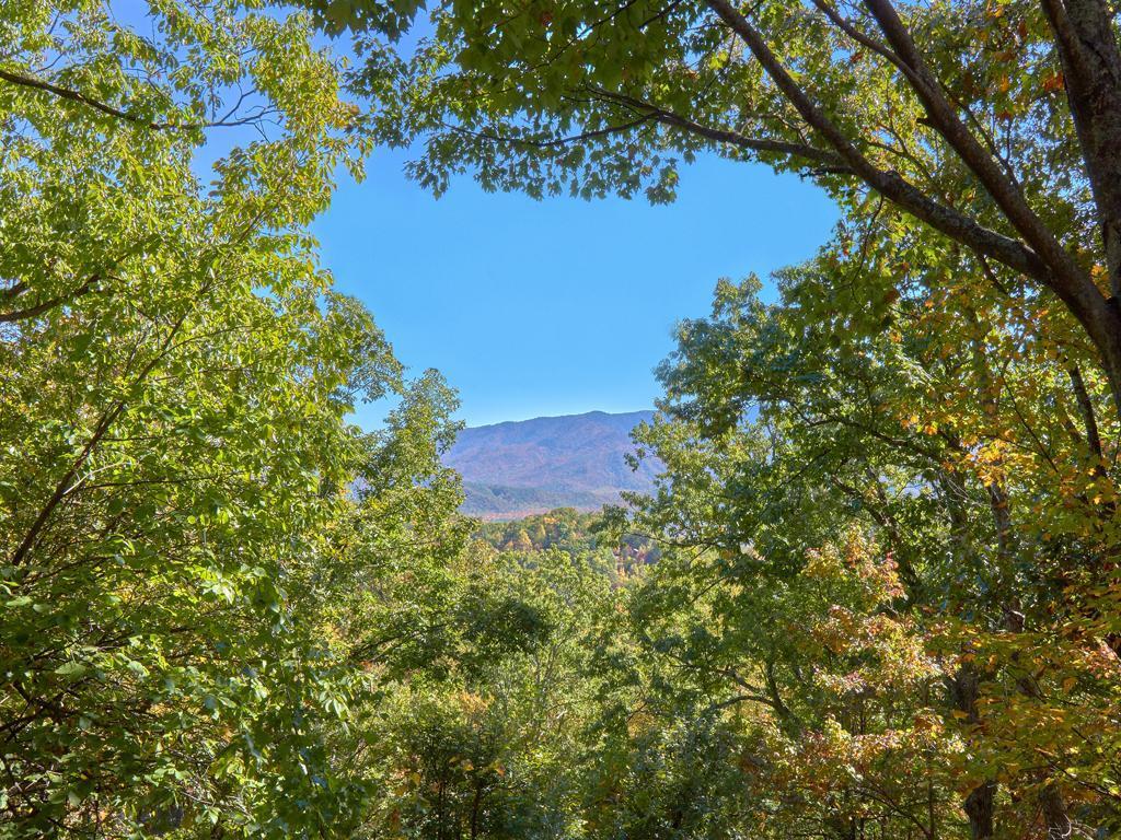Scenic Vista- Four-bedroom Holiday home Gatlinburg