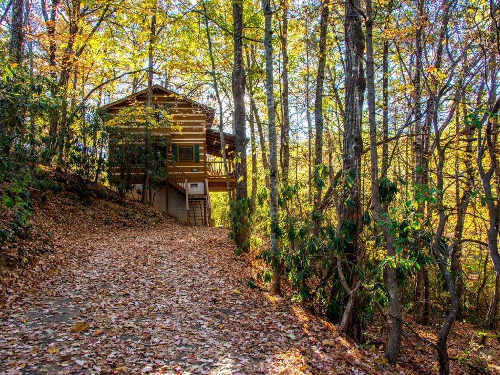 Little Bear Hideaway, 1 Bedroom, Hot Tub, Wifi, Sleeps 4 Holiday home Gatlinburg
